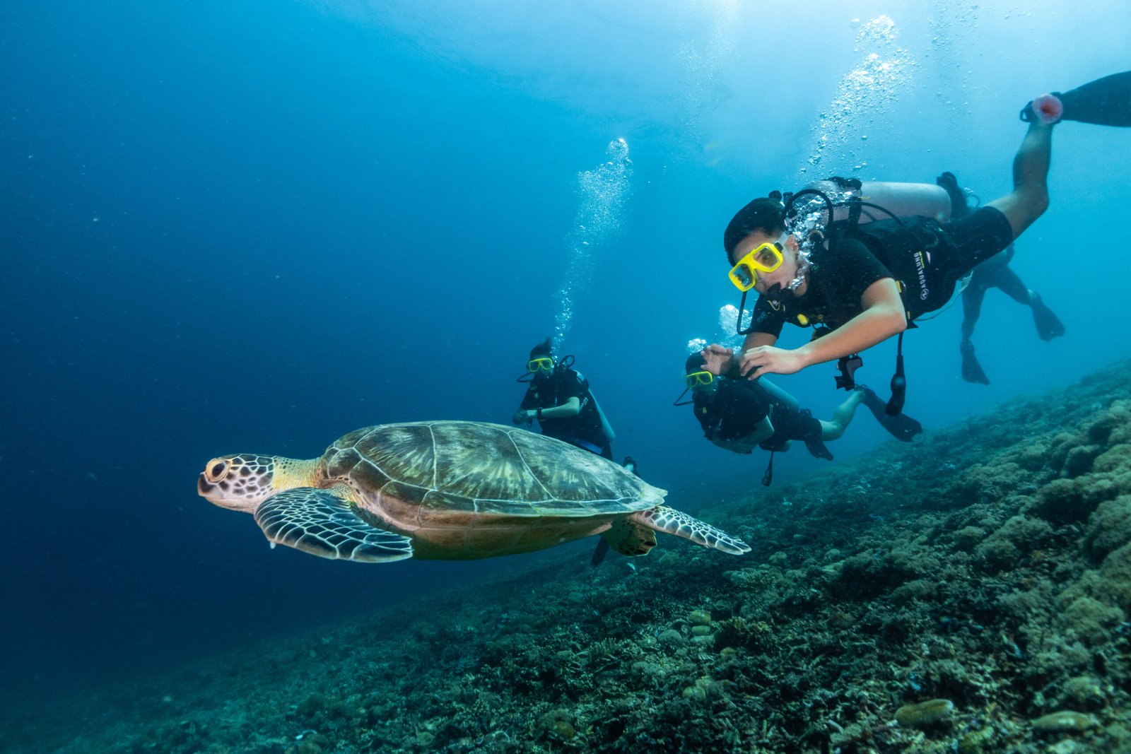 Underwater Excursions